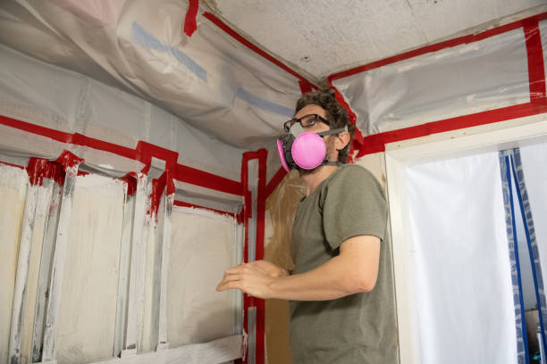 Best Attic Mold Removal  in Friedens, PA
