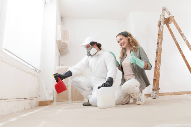 Best Indoor Air Quality Assessment  in Friedens, PA